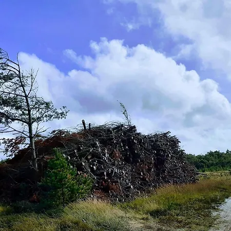 Casa de Férias 6 Person In Oksbol-by Traum