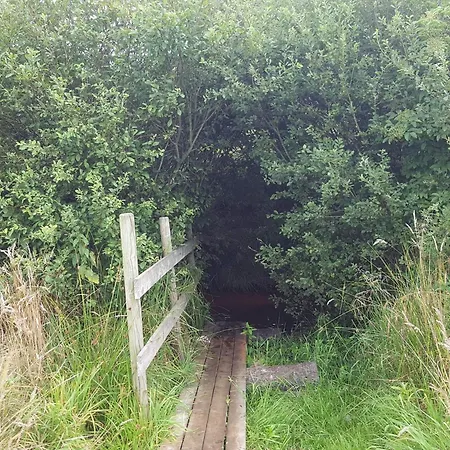 6 Person In Oksbol-by Traum