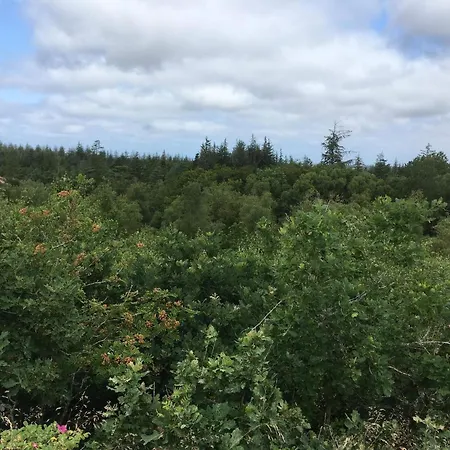 Casa de Férias 6 Person In Oksbol-by Traum Oksbøl