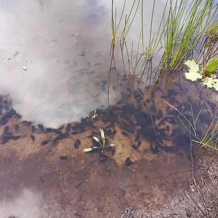 6 Person In Oksbol-by Traum Prázdninový dům *