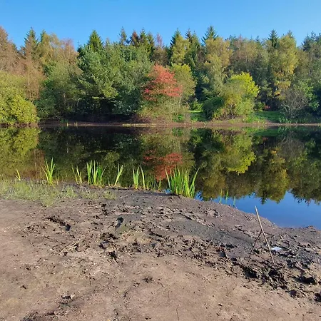 6 Person In Oksbol-by Traum