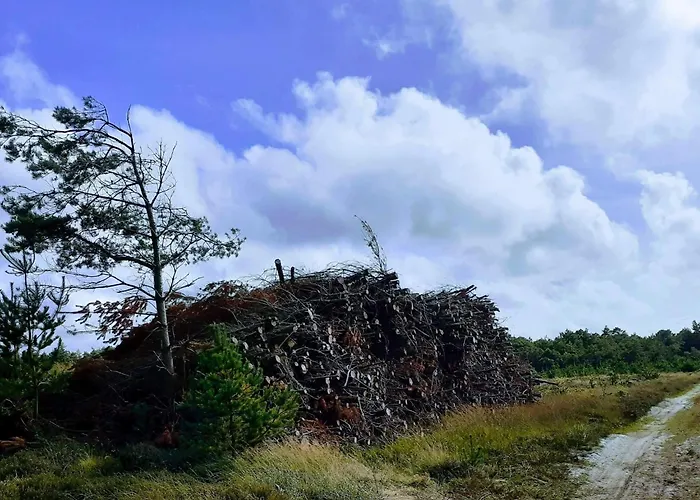 Ferienhaus 6 Person In Oksbol-by Traum