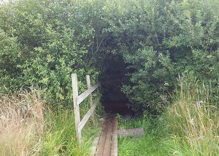 6 Person In Oksbol-by Traum