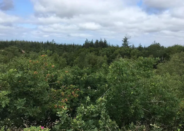 Ferienhaus 6 Person In Oksbol-by Traum Oksbøl