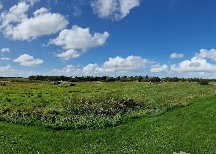 6 Person In Oksbol-by Traum Ferienhaus *