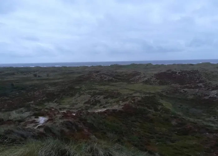 6 Person In Oksbol-by Traum