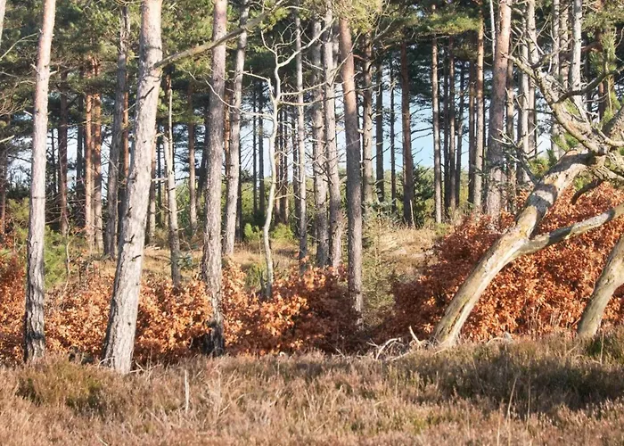 6 Person In Oksbol-by Traum