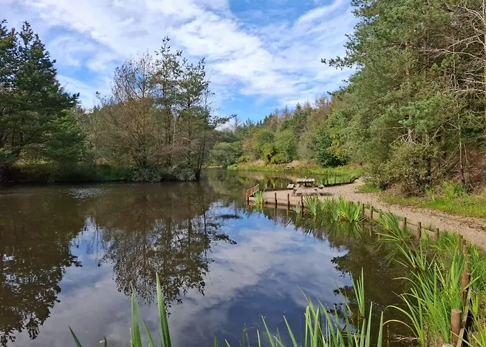 Ferienhaus 6 Person In Oksbol-by Traum *