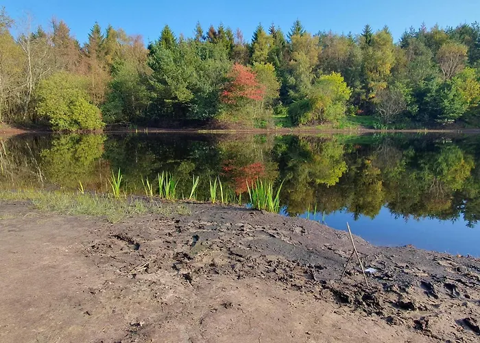 6 Person In Oksbol-by Traum