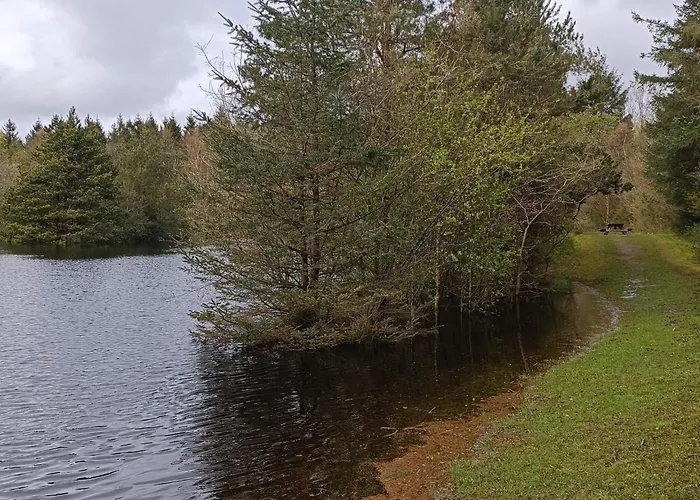 Ferienhaus 6 Person In Oksbol-by Traum