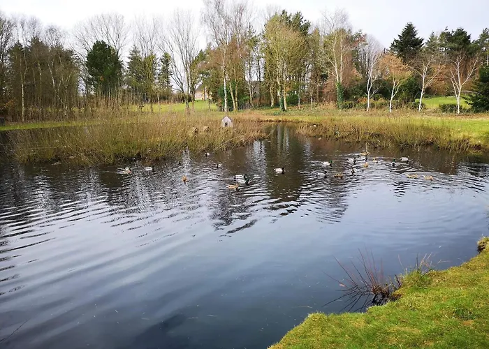 Ferienhaus 6 Person In Oksbol-by Traum Oksbøl