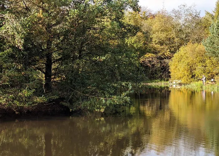 Ferienhaus 6 Person In Oksbol-by Traum *